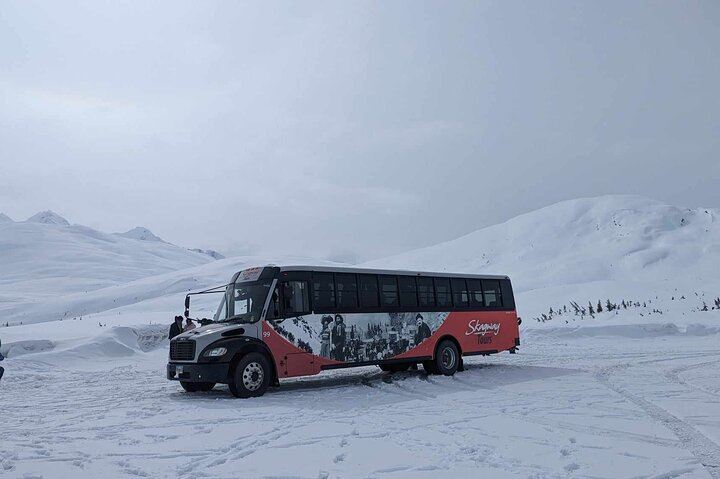 Our heated touring busses will take you up the Klondike Highway and into Canada on this winter wonderland excursion